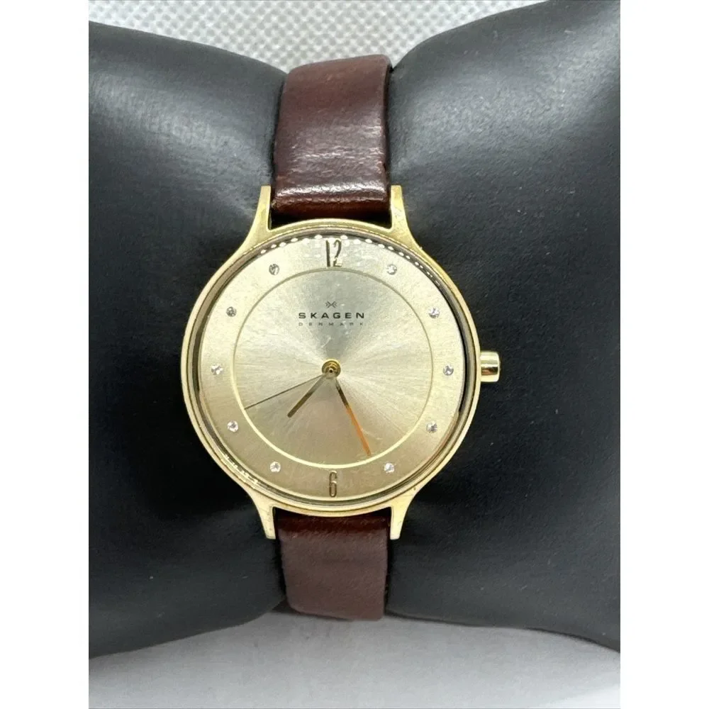 Skagen Anita Lille SKW2147 Women's Brown Leather Analog Dial Wrist Watch JNA941